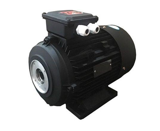 Электродвигатель TOR H112 HP 4.0 кВт фото 1