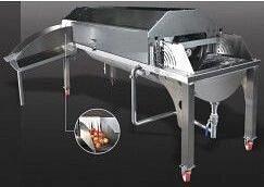 Моечная машина плодов овощей JP фото 1