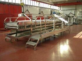 Линия сортировки, калибровки фруктов фото 1