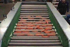 Машина для калибровки овощей роликовая фото 1