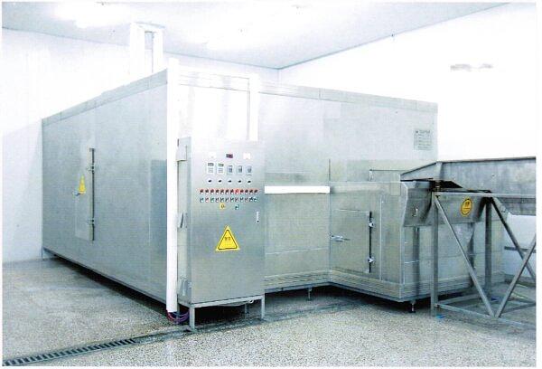 Линия мойки, резки, заморозки и упаковки овощей и фруктов фото 2