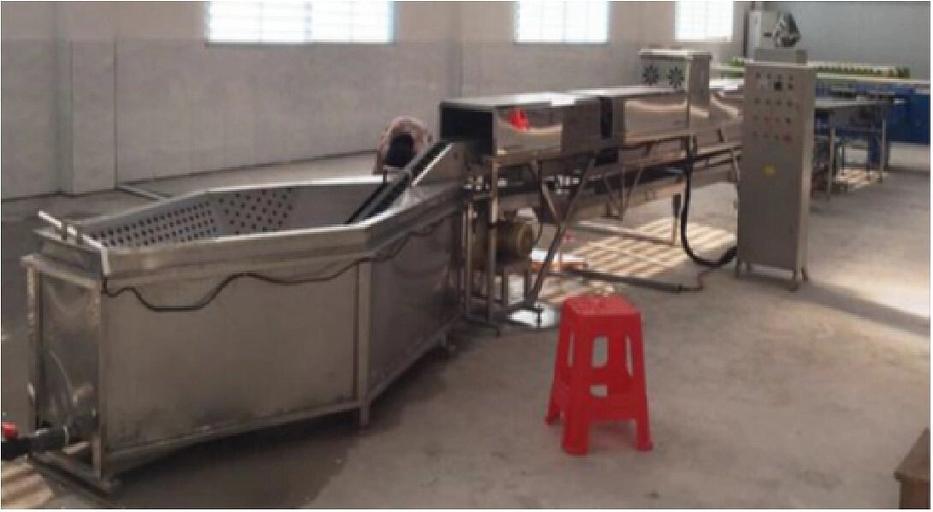 Линия для мойки и стерилизации яиц фото 1