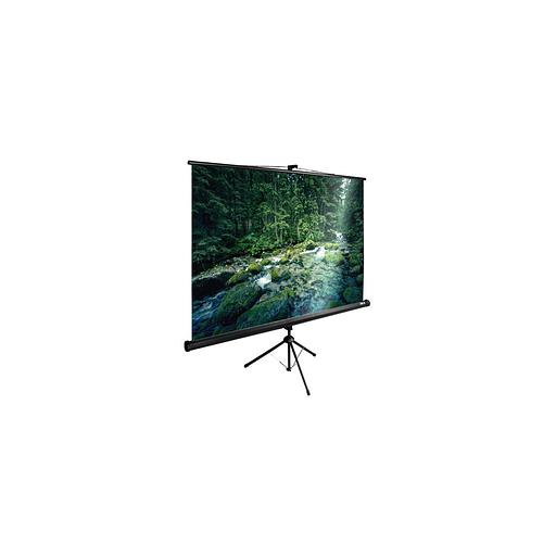 Экран Cactus TriExpert CS-PSTE-220x165-BK, 220х165 см, 4:3, напольный черный фото 1