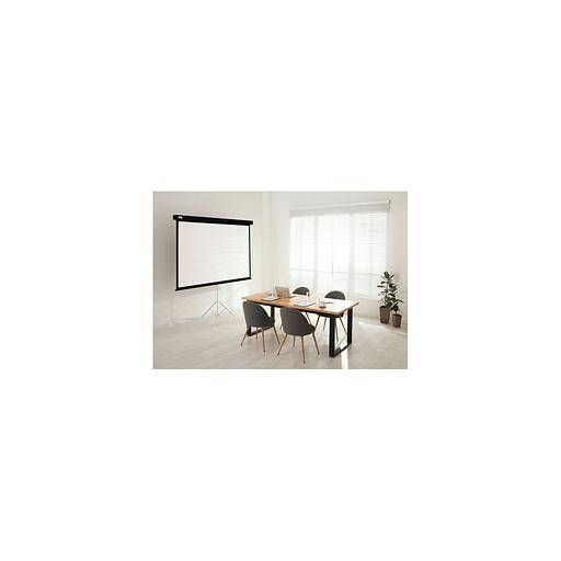 Экран Cactus Wallscreen CS-PSW-152X203-BK, 203х152 см, 4:3, настенно-потолочный черный фото 1