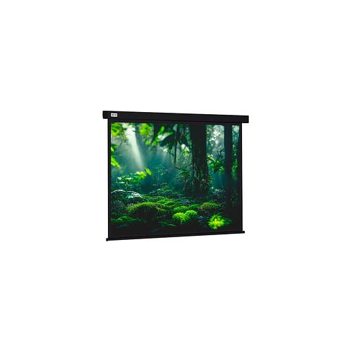 Экран Cactus Wallscreen CS-PSW-213X213-BK, 213х213 см, 1:1, настенно-потолочный черный фото 1