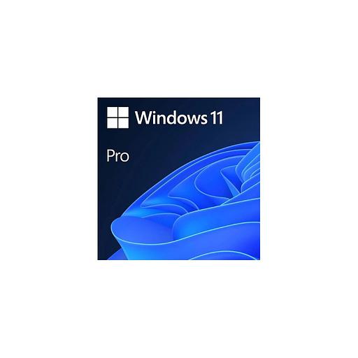 Операционная система Microsoft Windows 11 Pro, 64 bit, Eng, DVD, OEM [fqc-10528] фото 1