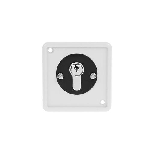 Ключ SMARTEC ST-ES120 серебристый фото 1