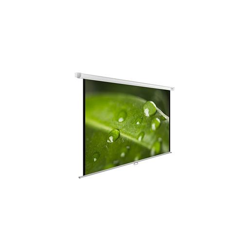 Экран Cactus WallExpert CS-PSWE-200x150-WT, 200х150 см, 4:3, настенно-потолочный фото 1