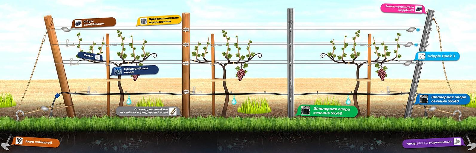 Опоры для растений фото 2