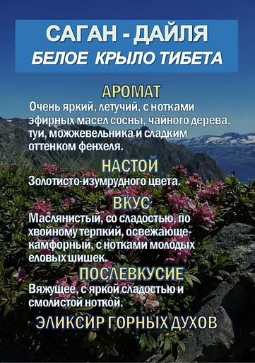 Фиточай Джиаогулан. Гинестемма пятилистная. Южный женьшень. фото 3