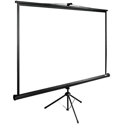 Экран Cactus 220x220см TriExpert CS-PSTE-220x220-BK 1:1 напольный рулонный черный фото 2