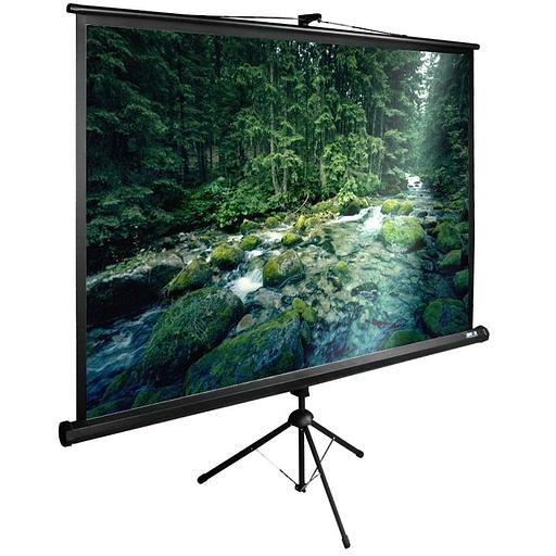 Экран Cactus 165x220см TriExpert CS-PSTE-220x165-BK 4:3 напольный рулонный черный фото 1