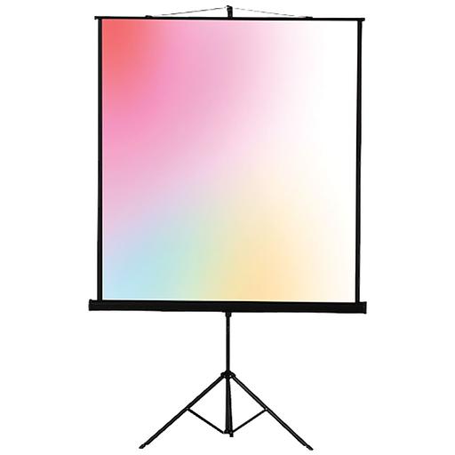 Экран на треноге Lumien 127x127см Eco View LEV-100104 1:1 напольный рулонный фото 1