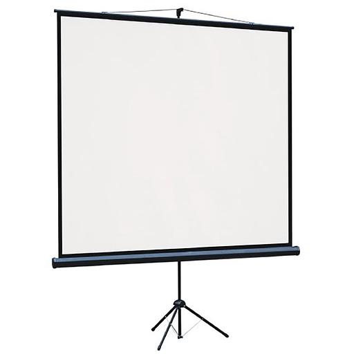 Экран на треноге Lumien 127x127см Eco View LEV-100104 1:1 напольный рулонный фото 2