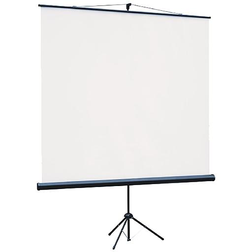 Экран на треноге Lumien 150x150см Eco View LEV-100101 1:1 напольный рулонный фото 1