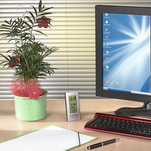 Термометр Hama H-186357 серебристый/черный фото 2