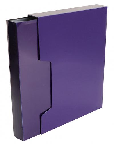 Папка с 100 прозр.вклад. Бюрократ DeLuxe DLVBOX100BBERRY A4 пластик 0.7мм черничный в коробе фото 1