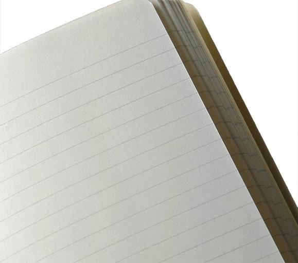 Блокнот Moleskine CLASSIC QP060R Large 130х210мм 240стр. линейка твердая обложка красный фото 4