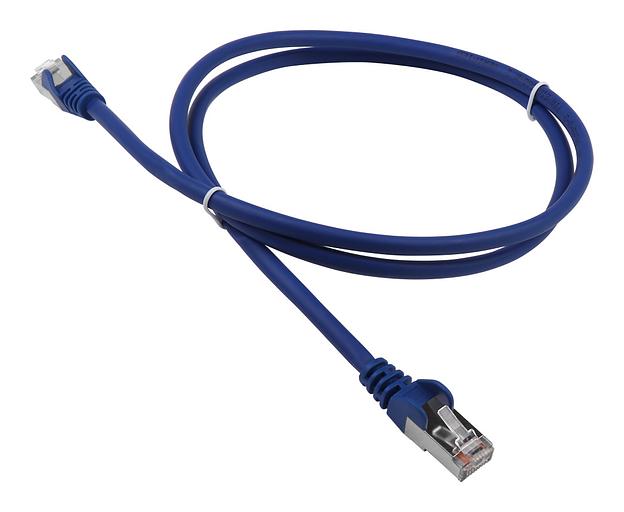 Патч-корд Lanmaster LAN-PC45/S5E-3.0-BL вилка RJ-45-вилка RJ-45 кат.5е 3м синий LSZH (уп.:1шт) фото 1