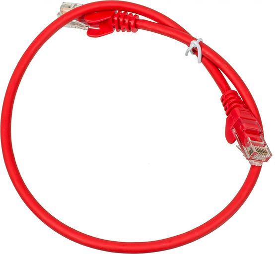 Патч-корд Lanmaster utp LAN-PC45/U5E-0.5-RD вилка RJ-45-вилка RJ-45 кат.5е 0.5м красный LSZH (уп.:1шт) фото 1