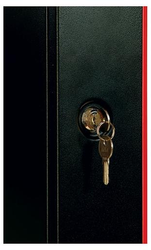 Шкаф коммутационный ЦМО ШРН-Э-9.500.1 9U 600x520мм пер.дв.стал.лист несъемн.бок.пан. серый фото 8