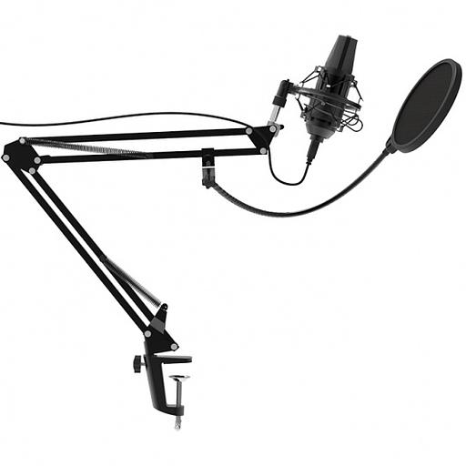 Микрофон проводной Ritmix RDM-180 2.5м черный фото 2