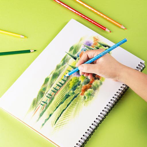 Карандаши цветные Deli EC112-24 Enovation трехгранные пластик 24цв. карт.тубус (24шт) фото 5