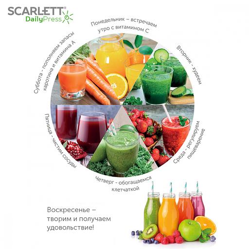 Соковыжималка шнековая Scarlett SC-JE50S59 белый фото 2