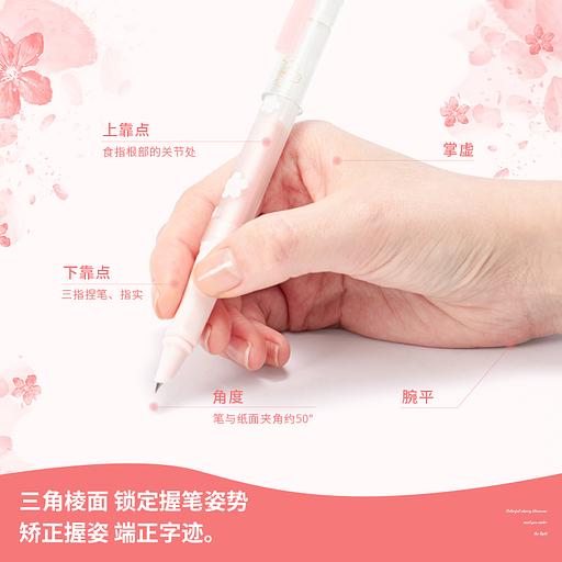 Ручка перьевая Deli SAKURA (A938) картридж синие чернила коробка/европод. фото 6