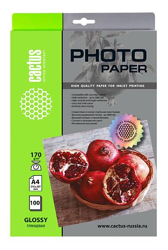 Фотобумага Cactus CS-GA4170100 A4/170г/м2/100л./белый глянцевое для струйной печати фото 1