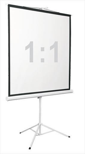 Экран на штативе Digis DSKD-1106, формат 1:1, 112" (206x209), MW, Kontur-D (DSKD-1106) фото 1