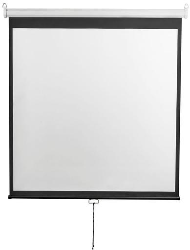 Экран 240x240см Digis Optimal-D DSOD-1107 1:1 настенно-потолочный рулонный фото 1