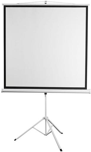 Экран 150x150см Digis Kontur-D DSKD-1103 1:1 напольный рулонный фото 1