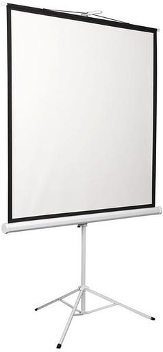 Экран 172x172см Digis Kontur-D DSKD-1104 1:1 напольный рулонный фото 2