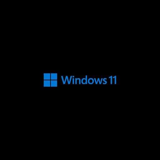 Лицензия OEM Windows 11 Pro 64-bit English 1pk DSP OEI DVD (FQC-10529) фото 1
