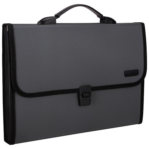 Папка-портфель Deli Extend E5556 12 отдел. A4 полипропилен 1.05мм ассорти фото 5