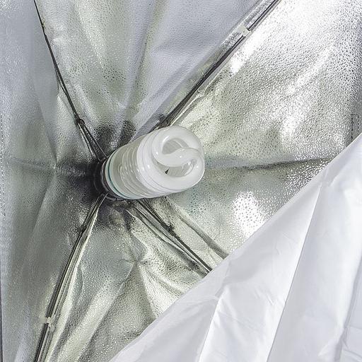 Комплект освещения Rekam CL-310-FL2-SB-FL1S фото 7