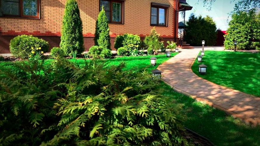 Озеленение земельных участков Ленинградская область фото 2