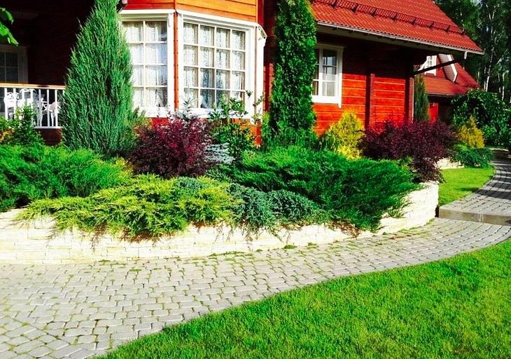 Озеленение земельных участков Ленинградская область фото 3