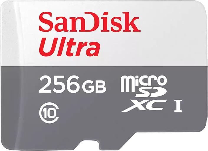 Флеш карта microSDXC 256Gb Class10 Sandisk SDSQUNR-256G-GN3MN Ultra w/o adapter фото 1
