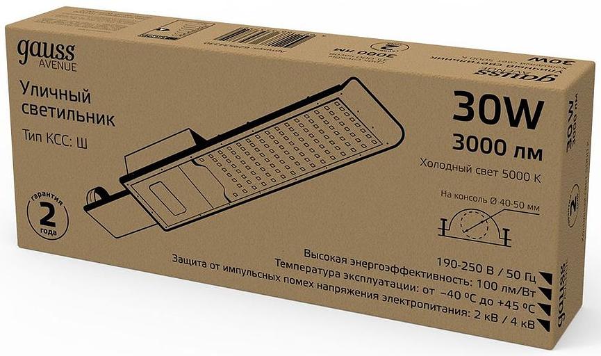 Светильник консольный Gauss 629534330 30Вт ламп.:30шт светодиод.лампа черный фото 4