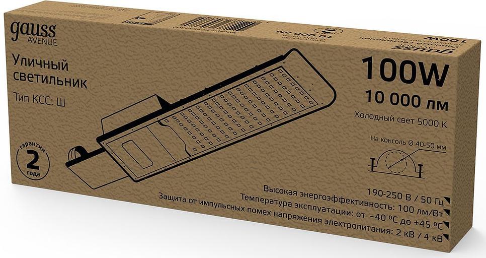 Светильник консольный Gauss 629534300 100Вт ламп.:100шт светодиод.лампа черный фото 1