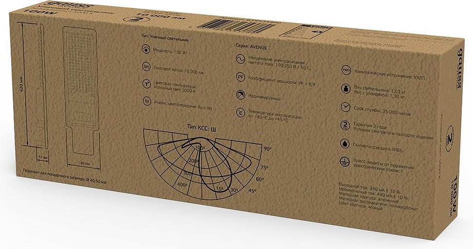 Светильник консольный Gauss 629534300 100Вт ламп.:100шт светодиод.лампа черный фото 2