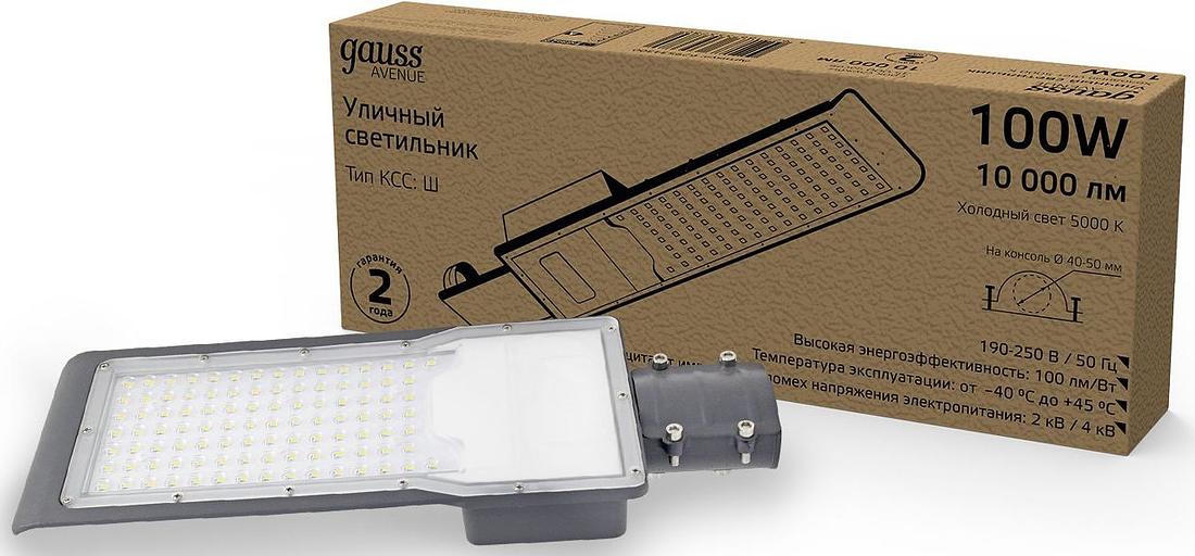 Светильник консольный Gauss 629534300 100Вт ламп.:100шт светодиод.лампа черный фото 7