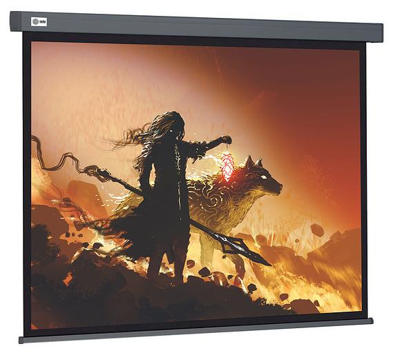 Экран Cactus 213x213см Wallscreen CS-PSW-213X213-SG 1:1 настенно-потолочный рулонный серый фото 1