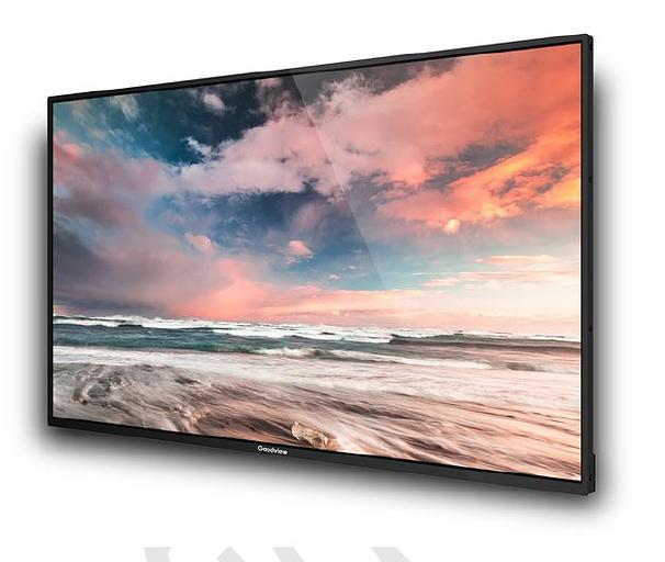 Профессиональный дисплей GoodView 55" AD display, 600cd/m2, 24/7, FHD (M55SAH) фото 3