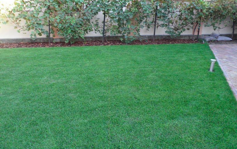 Устройство газонов Ленинградская область фото 2