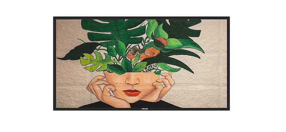 Широкоформатный дисплей (LFD)125,7 cm (49.5") VA 500 cd/m 4K Ultra HD Черный: фото 1