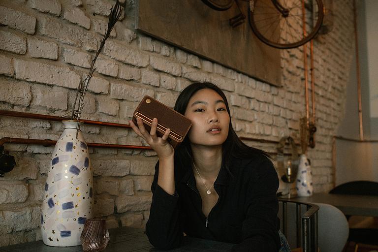 Колонки Edifier MP230 1.0 коричневый 20Вт портативные фото 10