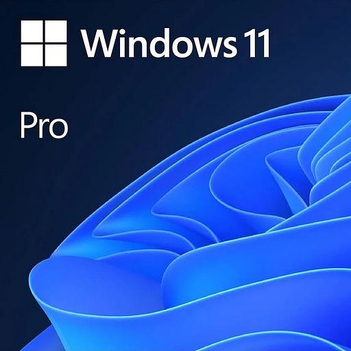 Операционная система Microsoft Windows 11 Pro 64Bit Eng Intl 1pk DSP OEI DVD (FQC-10528) фото 1